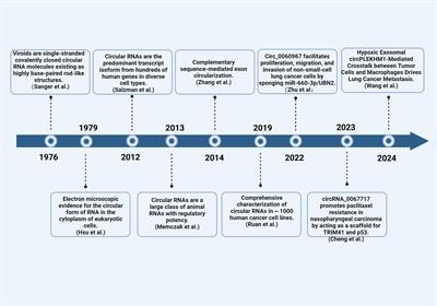 Roles and mechanisms of circular RNA in respiratory system cancers